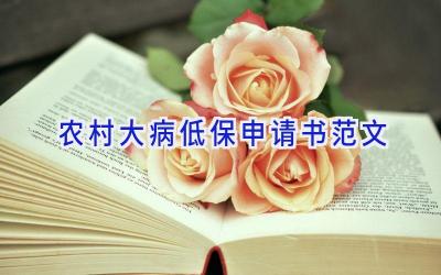 农村大病低保申请书范文