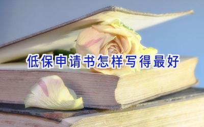 低保申请书怎样写得最好
