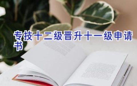 专技十二级晋升十一级申请书