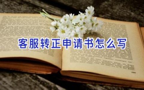 客服转正申请书怎么写