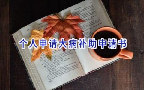 个人申请大病补助申请书