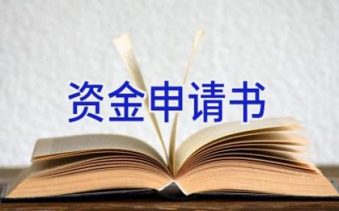 资金申请书