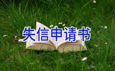 失信申请书