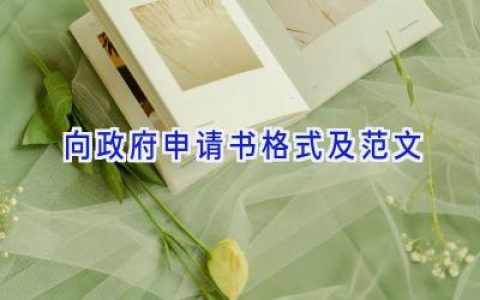 向政府申请书格式及范文