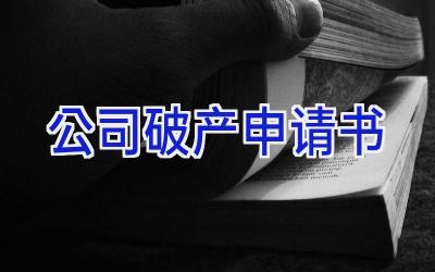 公司破产申请书