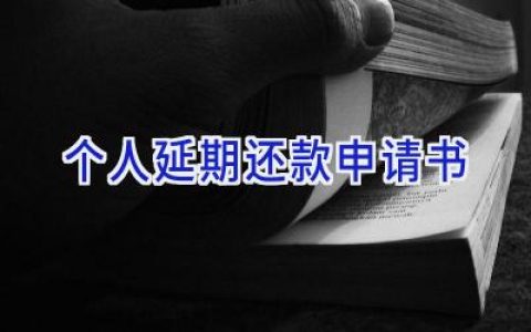 个人延期还款申请书