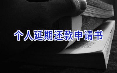 个人延期还款申请书