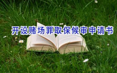 开设赌场罪取保候审申请书